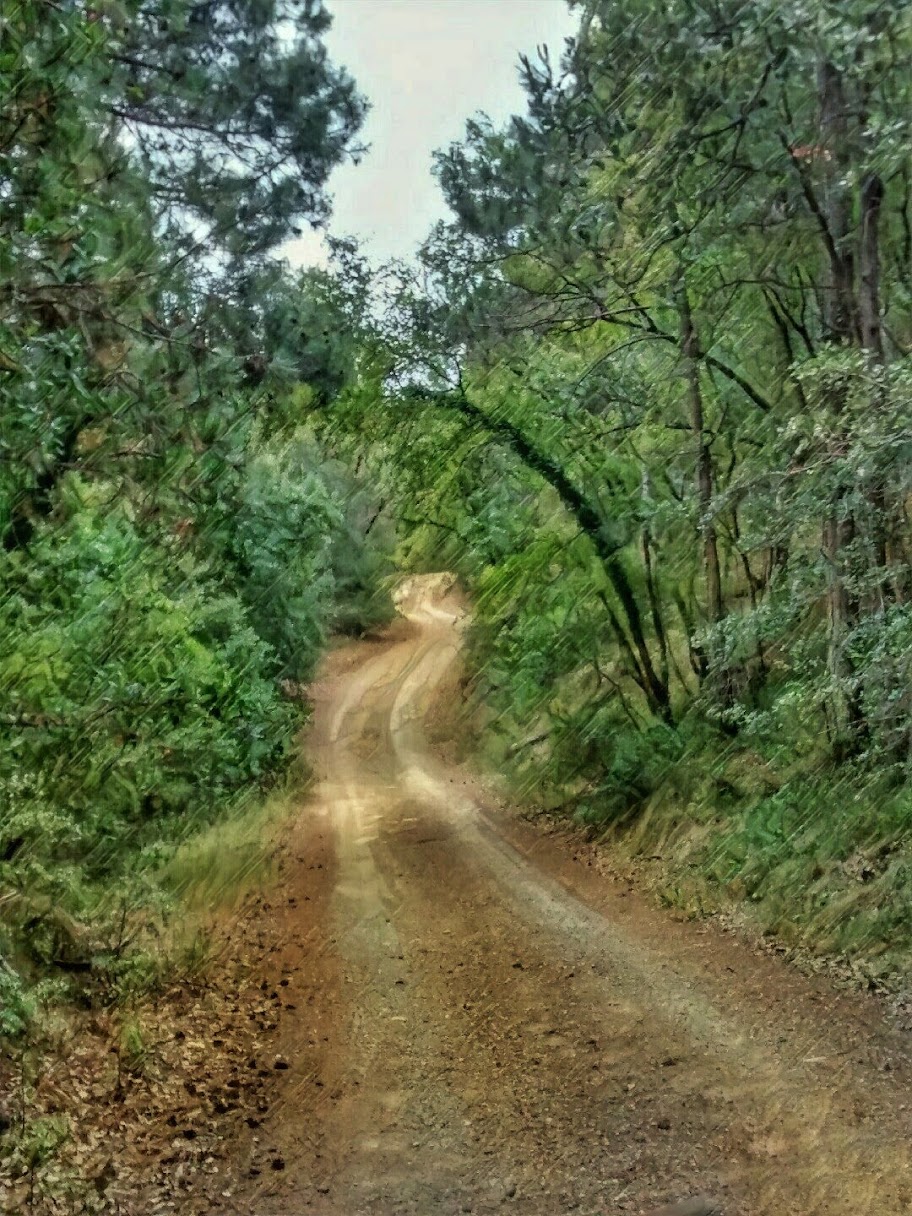 Apartaments El Clos | Conesa | Tarragona ©