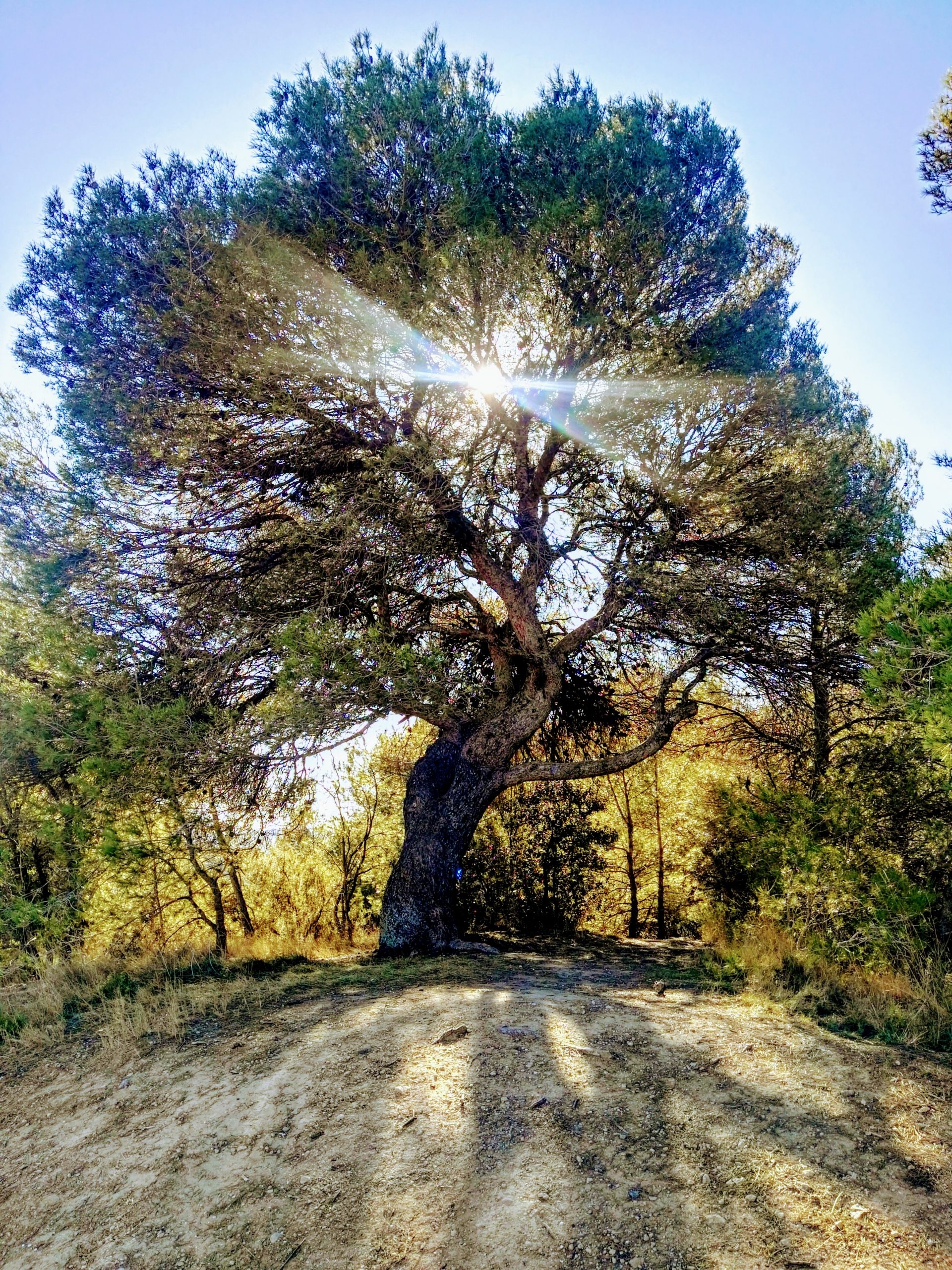 Apartaments El Clos | Conesa | Tarragona ©