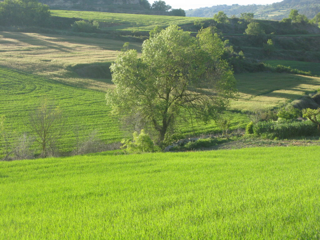 ElClos–momentos que solo puedes vivir en oto o en el clos–20251012 1649