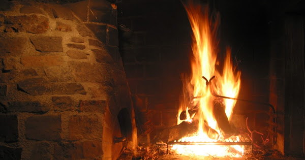 elclos redescubrirse en silencio el poder del mush 20260330 1449