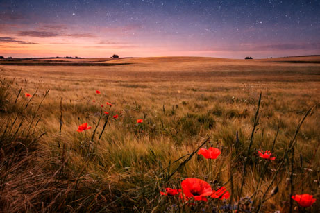 Post Naturaleza Conesa Conca de Barbera Apartaments rurals El Clos30