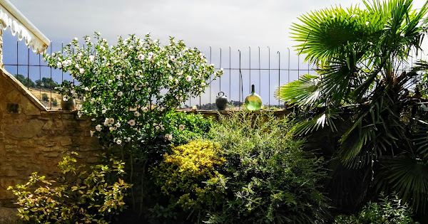 elclos conesa tiene tesoros ocultos desc brelos a 20260424 0737