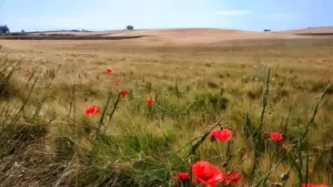 elclos el clos la joya rural secreta de catalu a c 20260406 0703