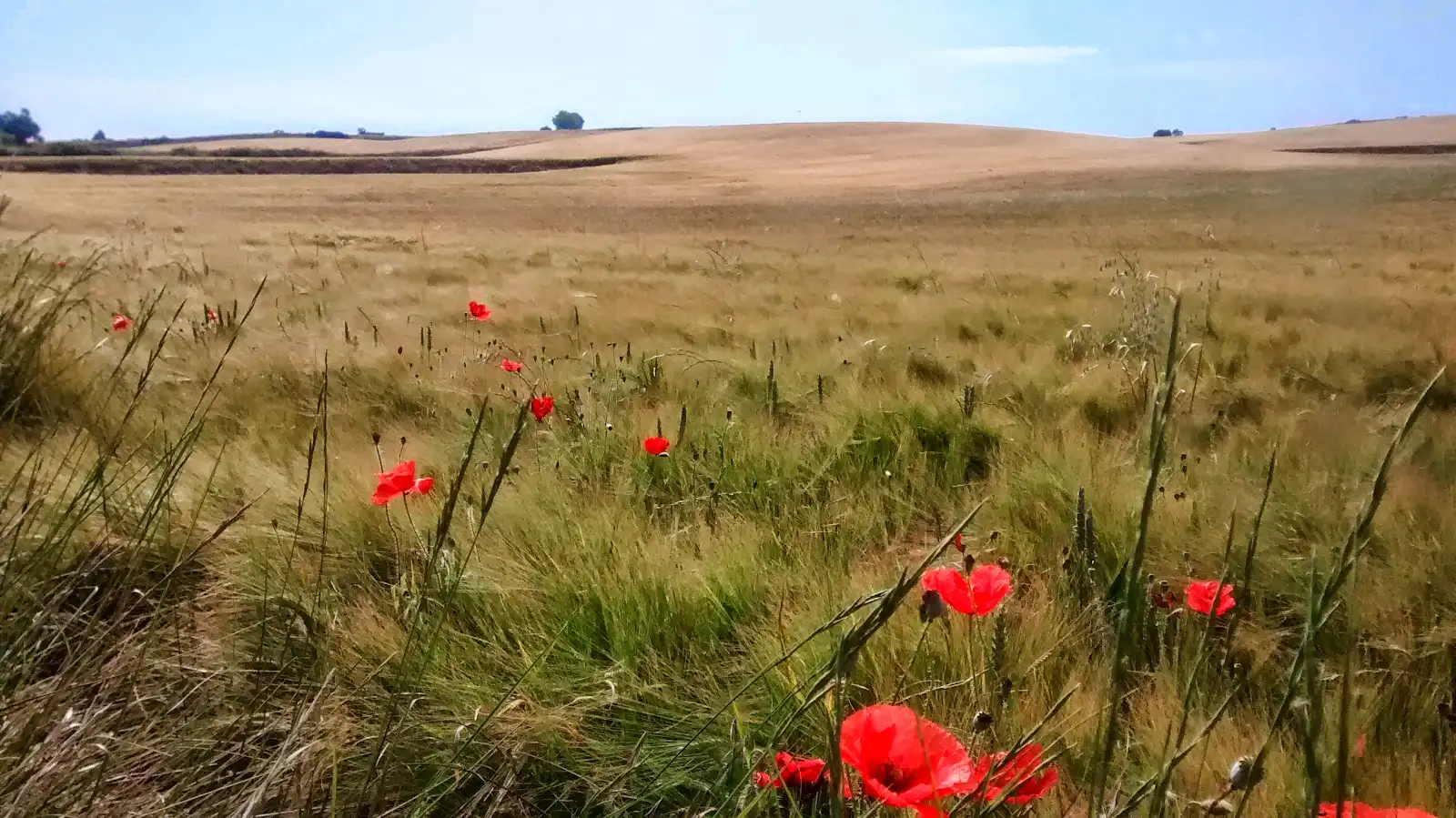 elclos el clos la joya rural secreta de catalu a c 20260406 0703