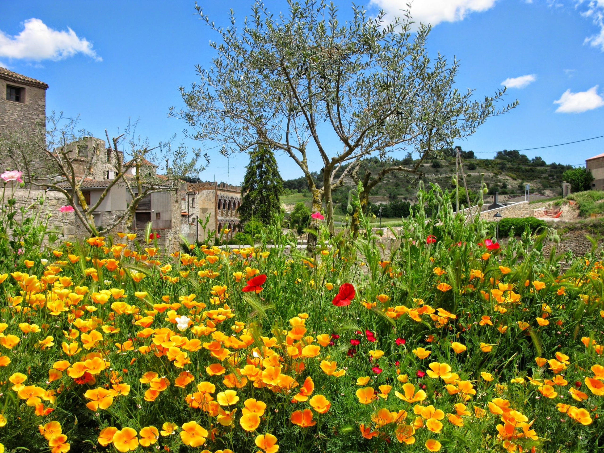 elclos el castillo de vallfogona de riucorb una fo 20260805 0712