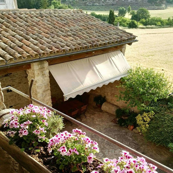 elclos el retablo de sant bernat en el monasterio 20260807 0737