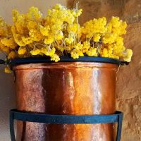 elclos silencio y naturaleza la experiencia mushin en el cor 20251105 0812